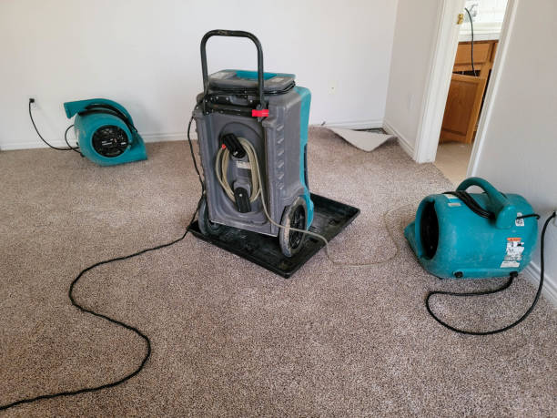 Best 24-hour water damage restoration  in Osage City, KS