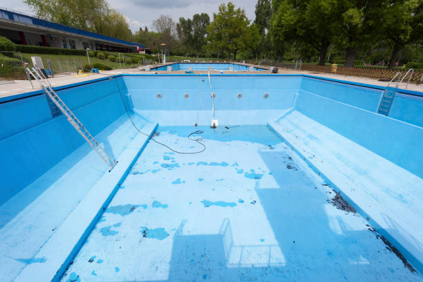 Best Mold removal after water damage  in Osage City, KS