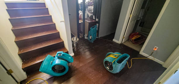 Best Flooded house restoration  in Osage City, KS