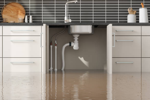 Best Sewage cleanup and water damage restoration  in Osage City, KS