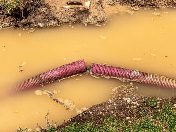 Best Basement water damage restoration  in Osage City, KS