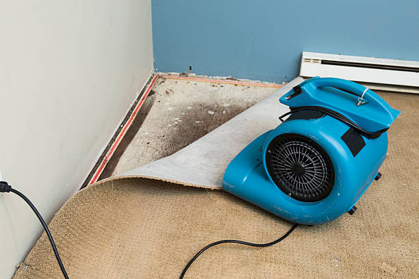 Best Water damage restoration process  in Osage City, KS